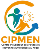 CIPMEN, Centre incubateur des petites et moyennes entreprises au Niger